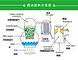 Safflower oil